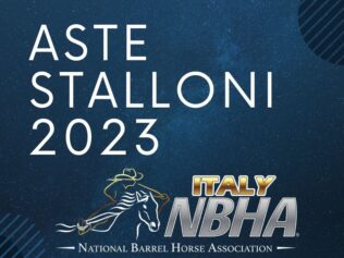 Copertina per sito NBHA Apertura ASTE 2023